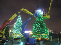 新宿サザンテラスのクリスマスツリー？