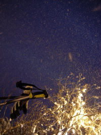 雪降る富良野の夜は美しい